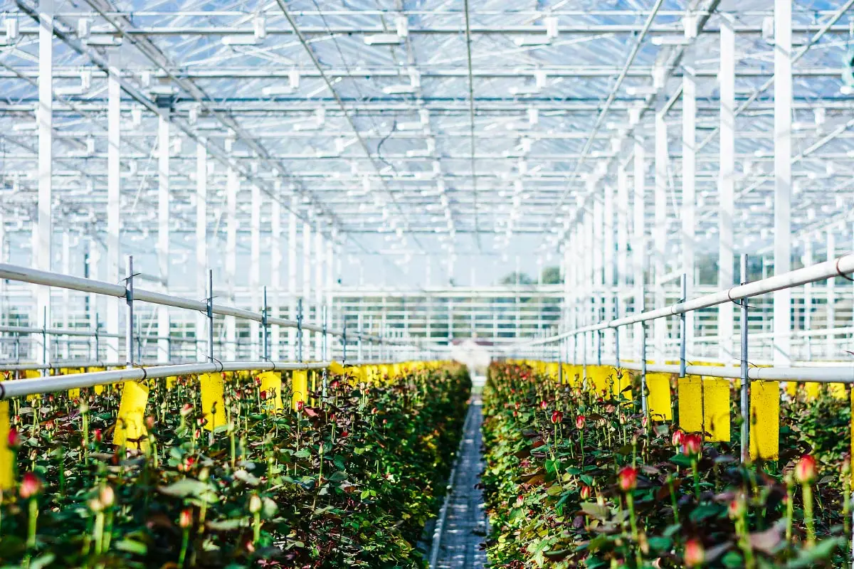 Agricultural Lighting Solutions Agricultural Lighting Solutions
